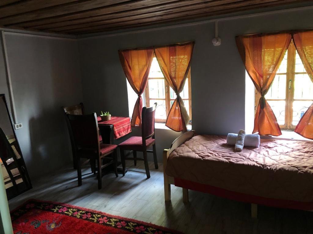 Guesthouse Kujtimi 泰斯 外观 照片