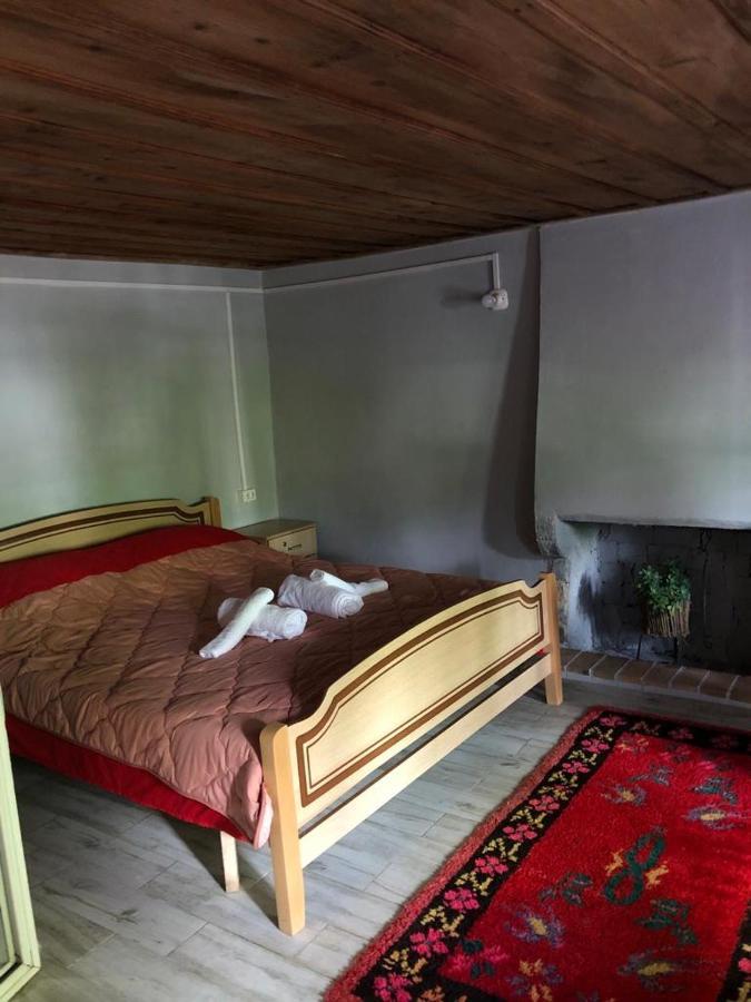 Guesthouse Kujtimi 泰斯 外观 照片