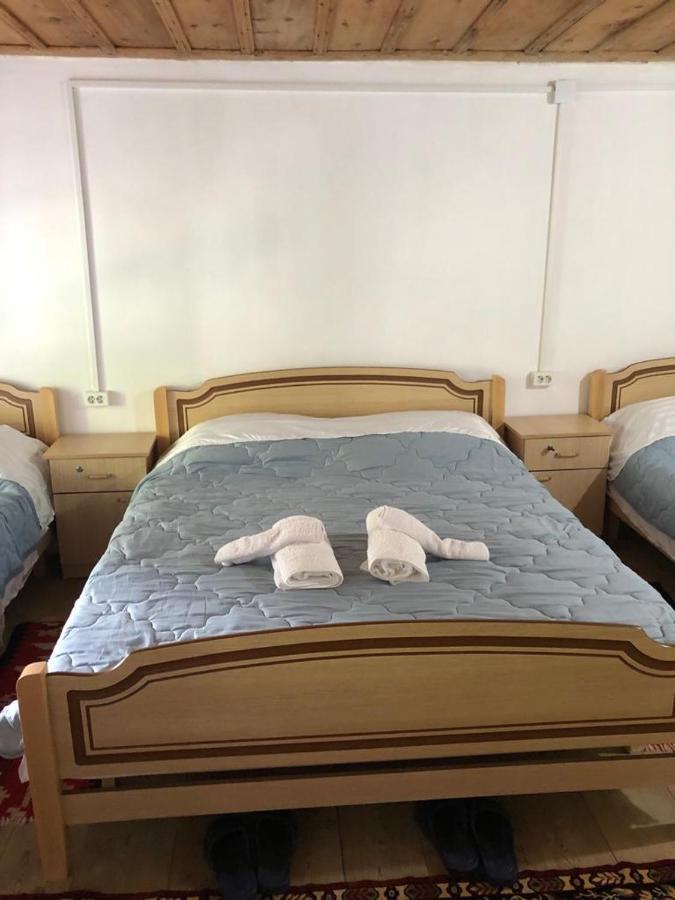 Guesthouse Kujtimi 泰斯 外观 照片