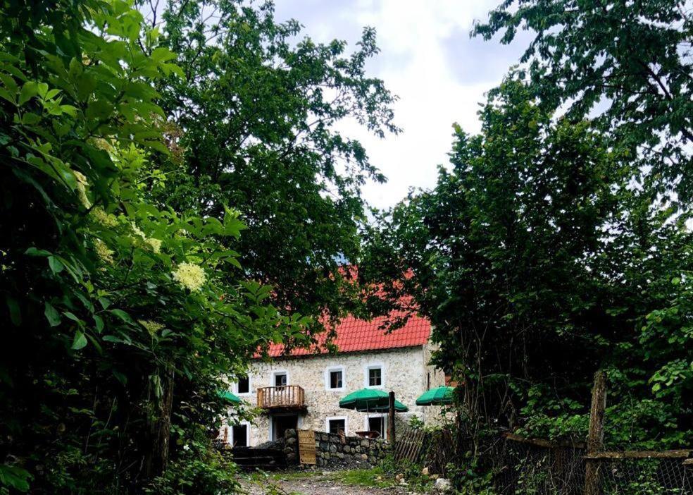 Guesthouse Kujtimi 泰斯 外观 照片
