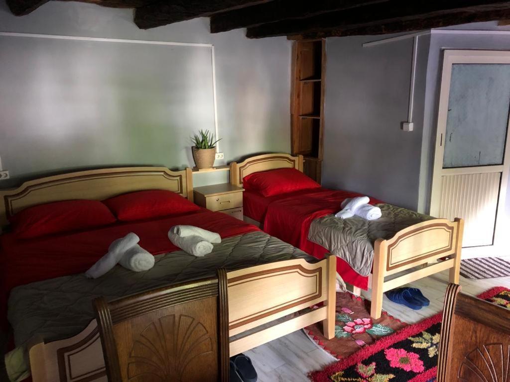 Guesthouse Kujtimi 泰斯 外观 照片