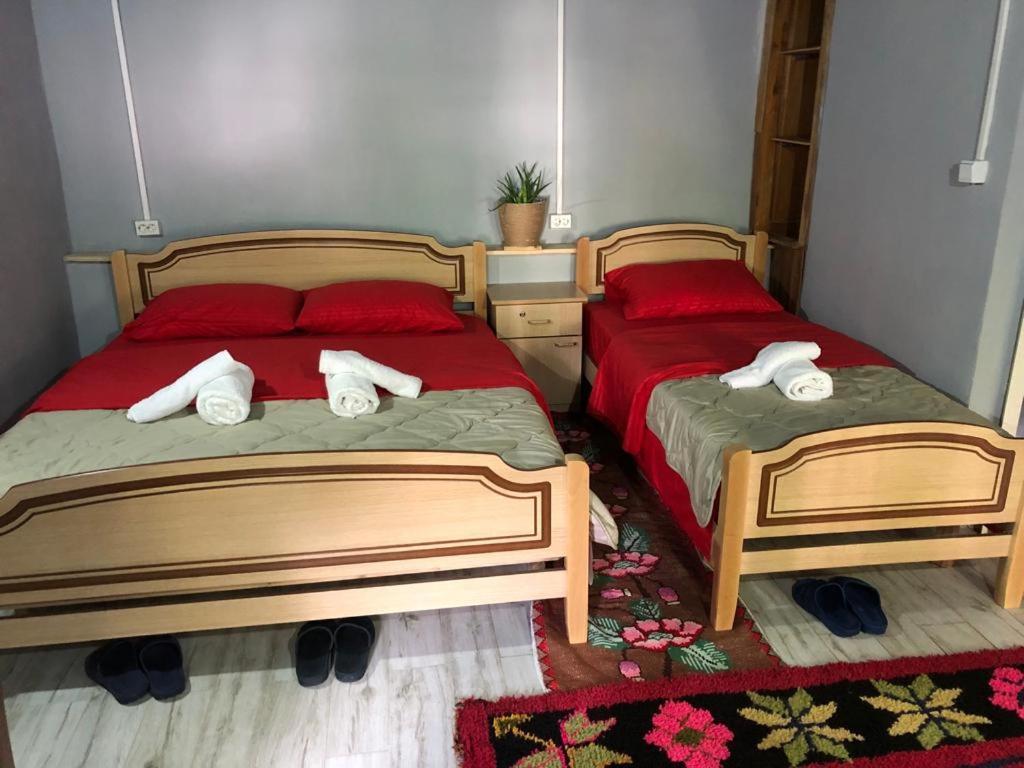 Guesthouse Kujtimi 泰斯 外观 照片