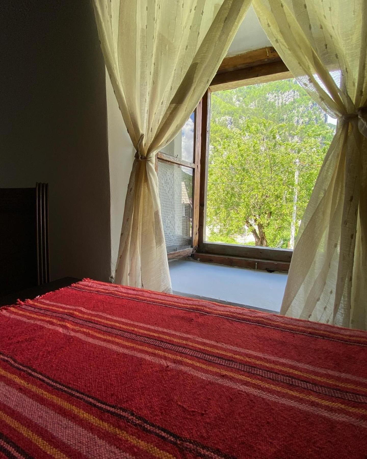 Guesthouse Kujtimi 泰斯 外观 照片